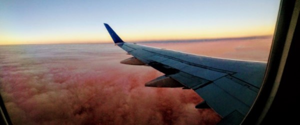 Wing of a plane in flight